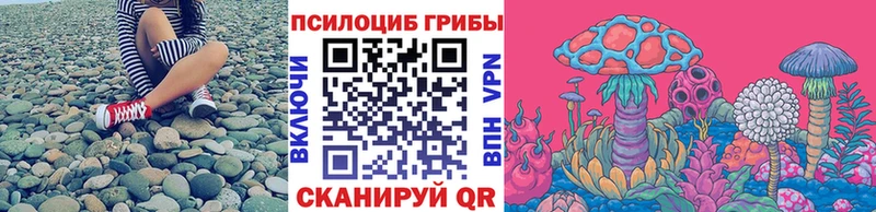 Галлюциногенные грибы Psilocybe  Себеж 