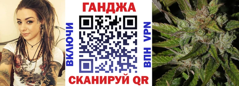 Конопля сатива Себеж